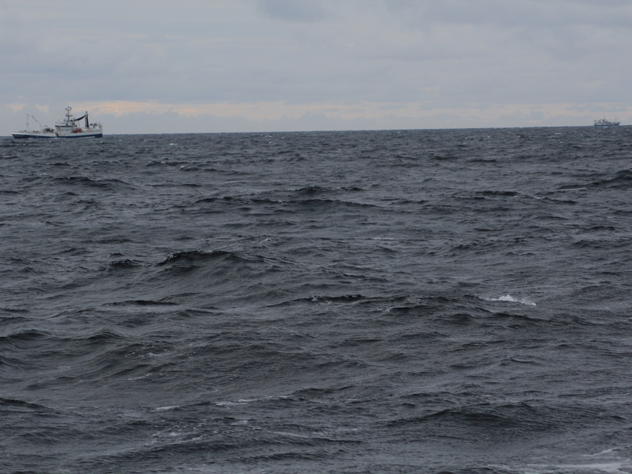 Big fish trouble in Europe, especially the Mediterranean